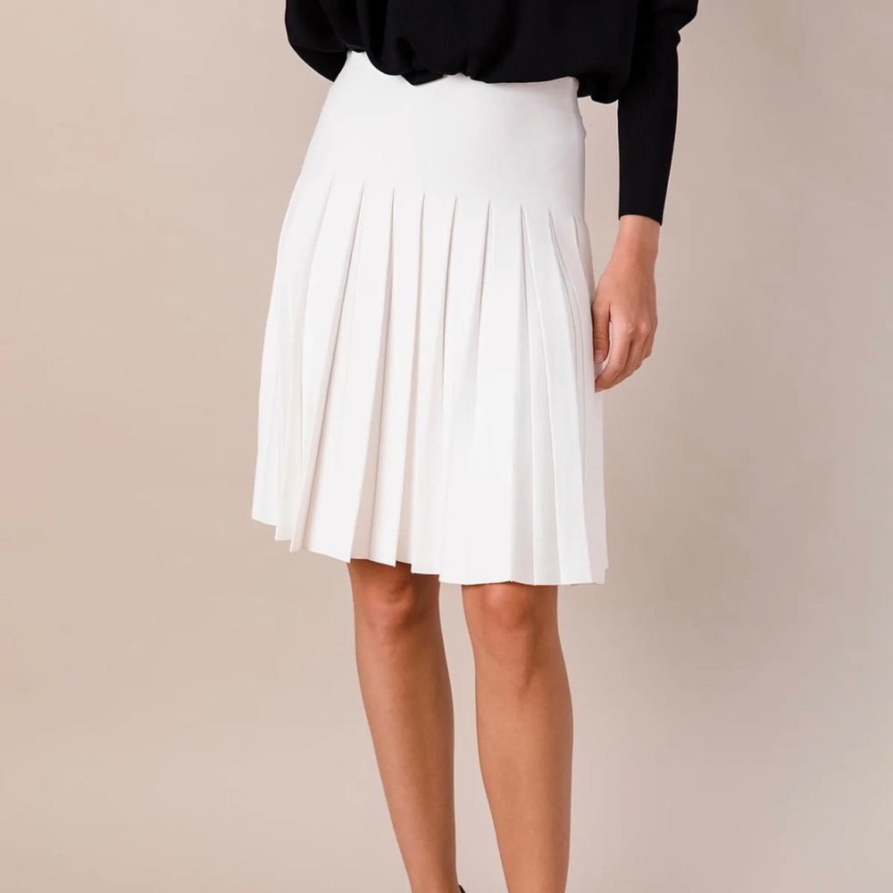 Apparalel skirt